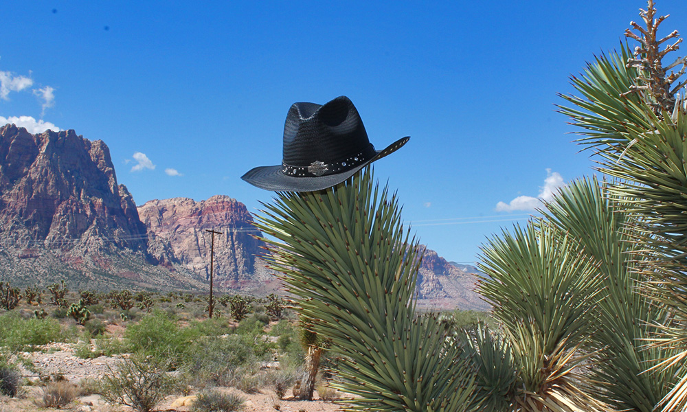 Kurven, Kaktus, Cowboy-Country | Amerika Heller | USA Motorradreisen